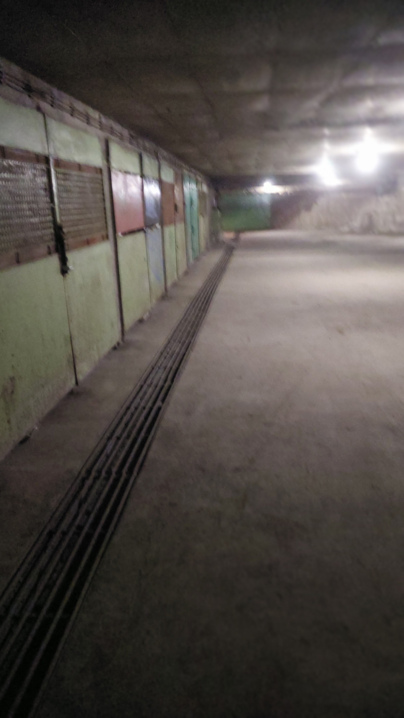 Продава ГАРАЖ, ПАРКОМЯСТО, гр. София, Борово, снимка 2 - Гаражи и паркоместа - 53560381