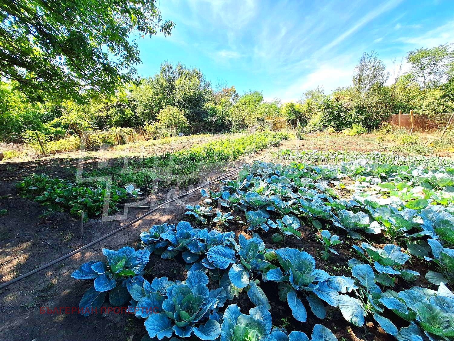 Продава КЪЩА | Imot.bg — изображение 5