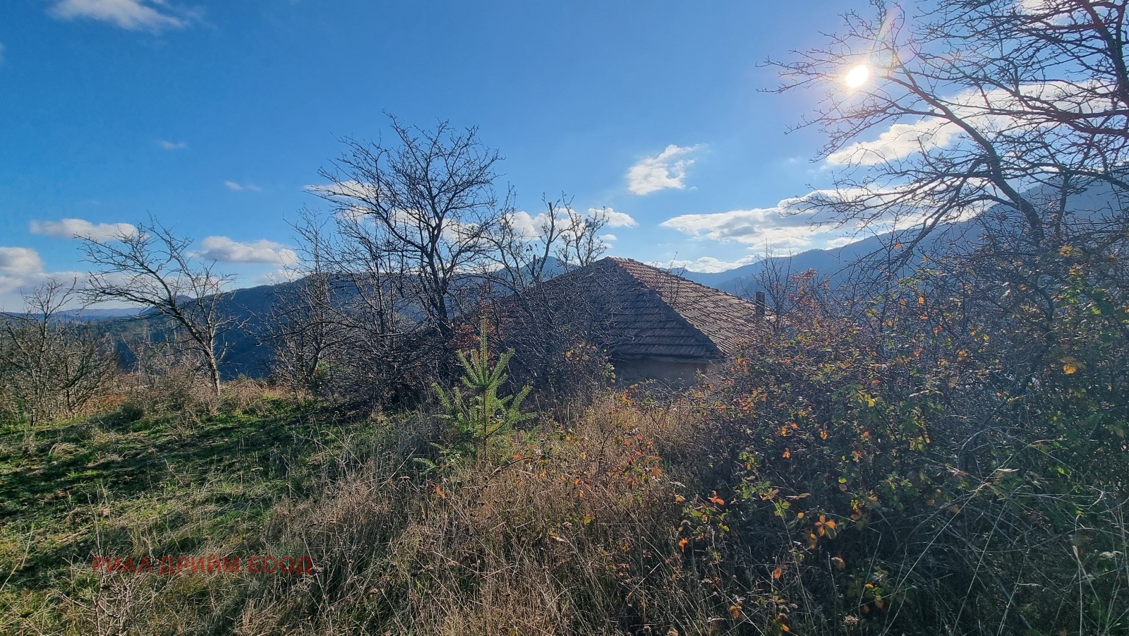 ������� ���� | Imot.bg � ����������� 17