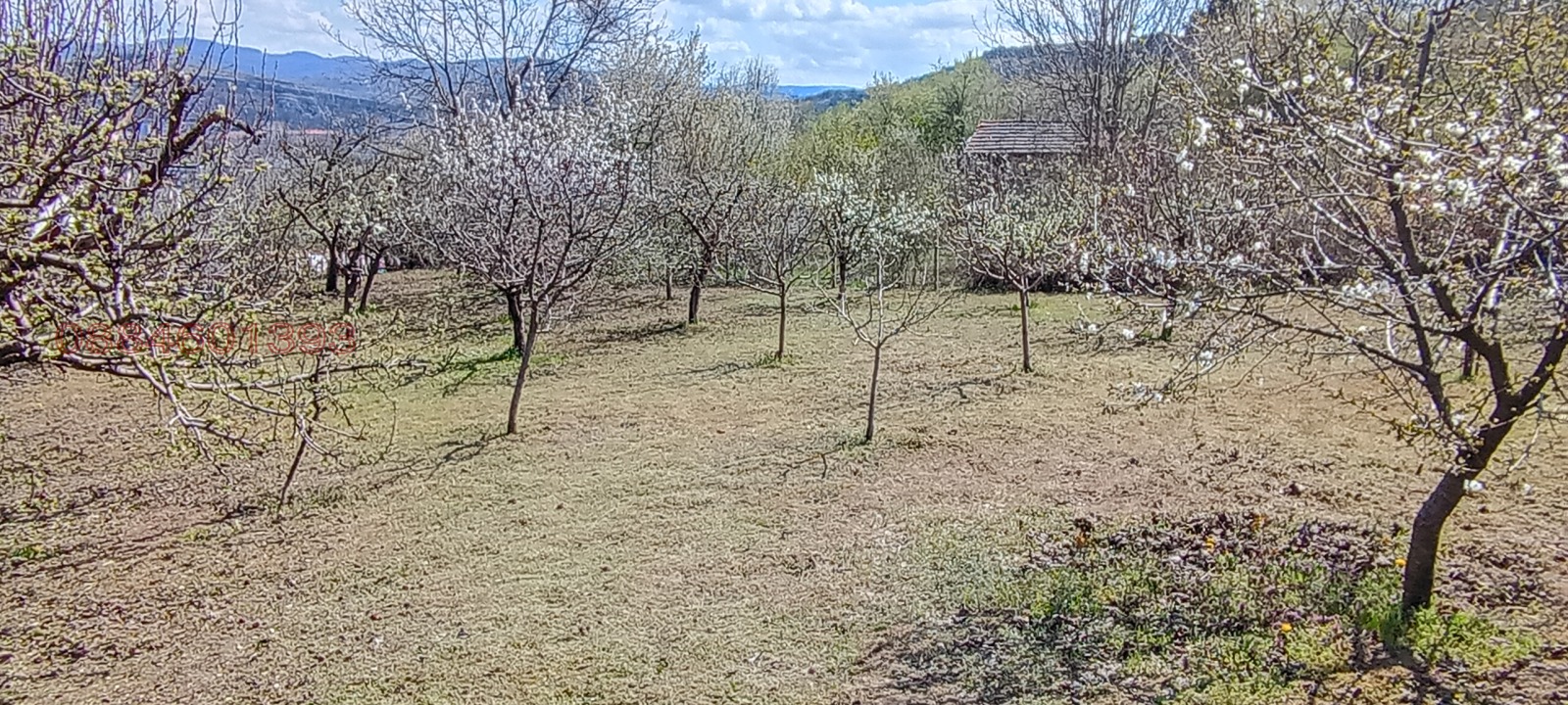 ������� ���� | Imot.bg � ����������� 12