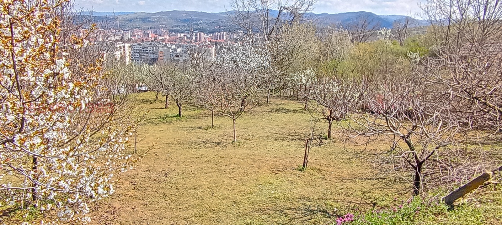 ������� ���� | Imot.bg � ����������� 11