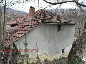 Hus Plachkovtsi, region Gabrovo 3