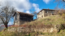 ����� ������� ����,�. ��������, ������ ������