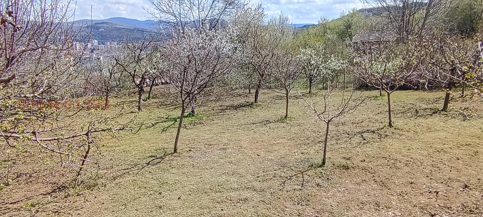 Продава ВИЛА, гр. Ловеч, в.з. Бабаковец, снимка 13 - Вили - 54191066