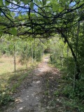 Продава КЪЩА, гр. Костинброд, област София област, снимка 9