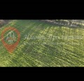 Продава ПАРЦЕЛ, с. Бошуля, област Пазарджик, снимка 3