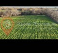 Продава ПАРЦЕЛ, с. Бошуля, област Пазарджик, снимка 2
