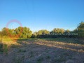 Продава ПАРЦЕЛ, с. Бошуля, област Пазарджик, снимка 5