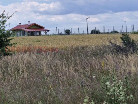 ����� ������� ������,�. ������, ������ �����