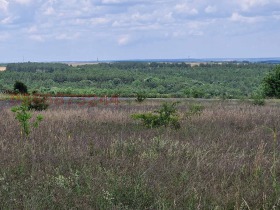 ������� ������ | Imot.bg � ����� ������ 3