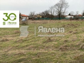 ����� ������� ������,�. �����, ������ �����