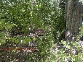 ������� ������ | Imot.bg � ����� ������ 3