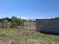 Продава ПАРЦЕЛ, с. Маноле, област Пловдив, снимка 5