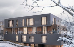 ����� ������� 2-�����,���� �����, �����