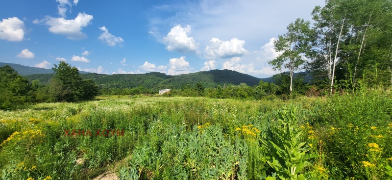Til salg  Grund region Lovech , Troyan , 3799 kvm | 63948969 - billede [4]