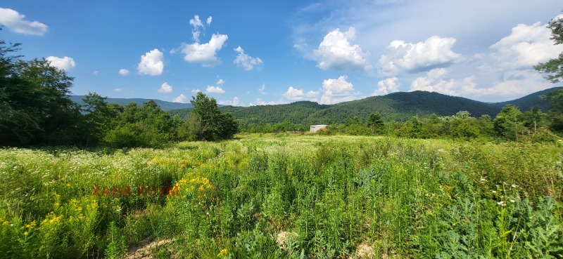 Til salg  Grund region Lovech , Troyan , 3799 kvm | 63948969 - billede [5]