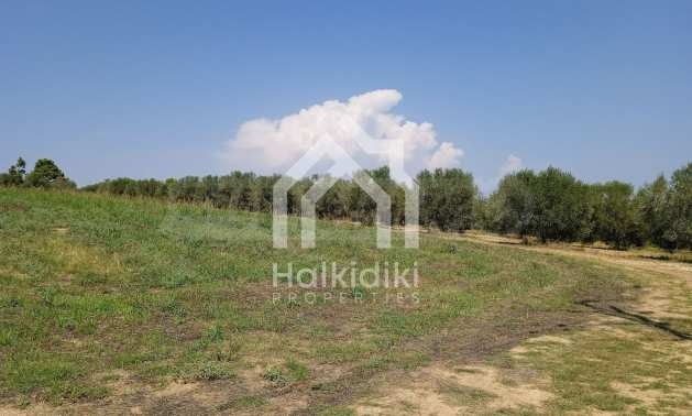 ������� ������ | Imot.bg � ����������� 12