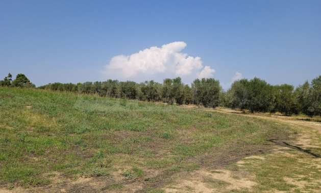 ������� ������ | Imot.bg � ����������� 2