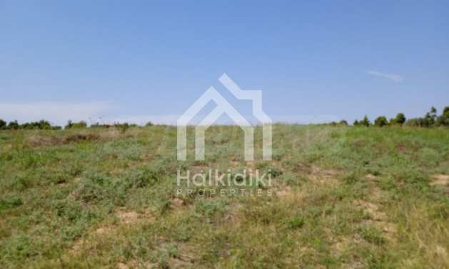 ������� ������ | Imot.bg � ����������� 17