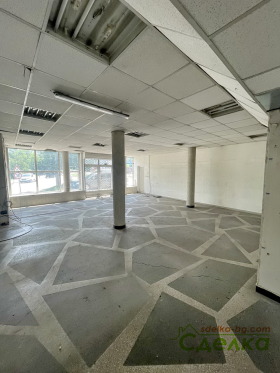 ����� ������� �������,���� �������, ������