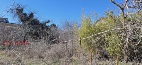 ����� ������� ������,���� �����, �-� ����������� ���