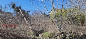 ������� ������ | Imot.bg � ����� ������ 2