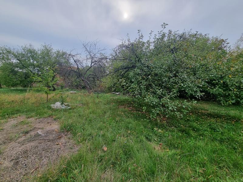 For Sale  Plot region Veliko Tarnovo , Belyakovets , 950 sq.m | 63623595 - image [9]