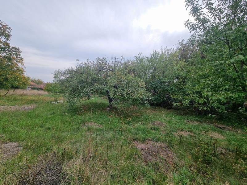 For Sale  Plot region Veliko Tarnovo , Belyakovets , 950 sq.m | 63623595 - image [2]