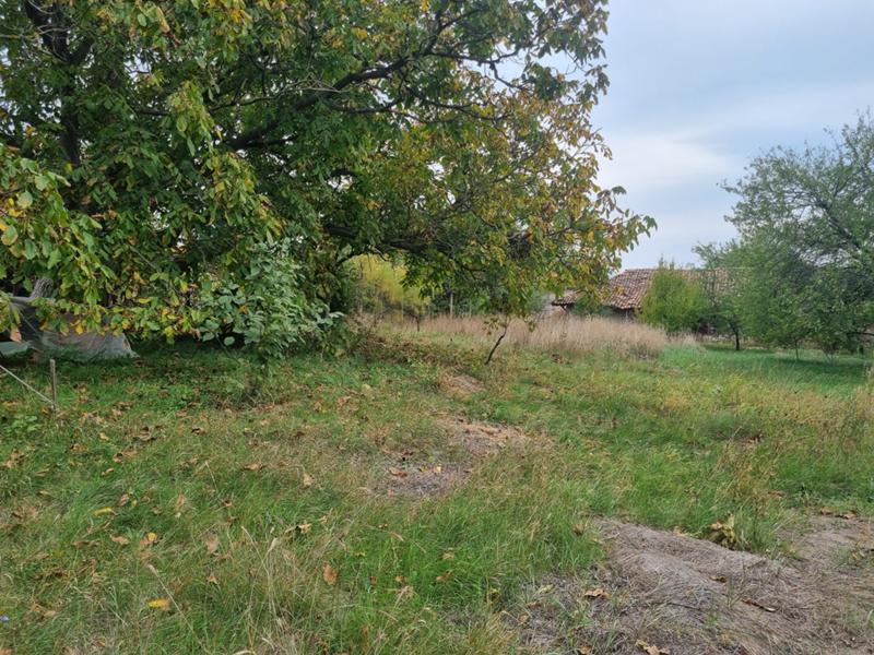 For Sale  Plot region Veliko Tarnovo , Belyakovets , 950 sq.m | 63623595 - image [10]