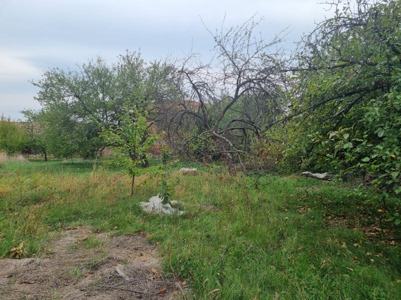 For Sale  Plot region Veliko Tarnovo , Belyakovets , 950 sq.m | 63623595 - image [11]