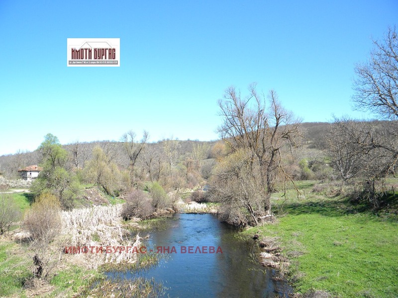 Продава БИЗНЕС ИМОТ, с. Голямо Буково, област Бургас, снимка 8 - Други - 52316545