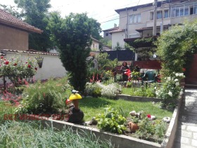 Hus Velingrad, region Pazardzhik 4