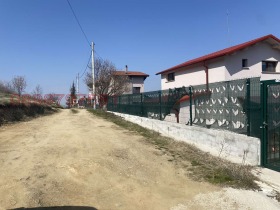 ������ ������� ������