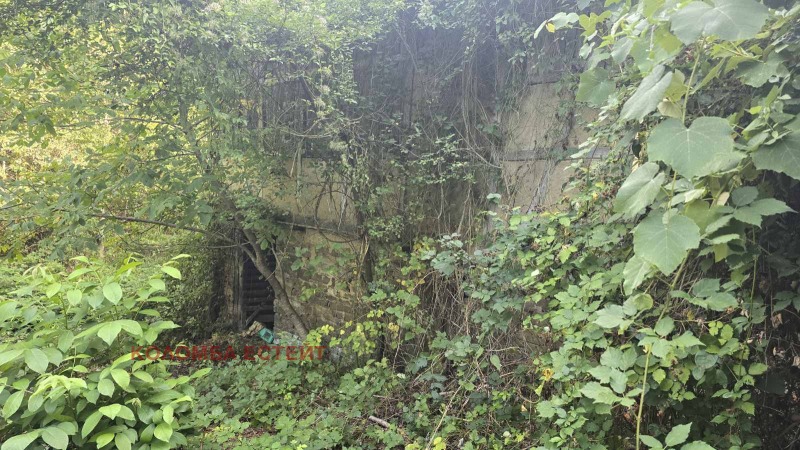 Продава ПАРЦЕЛ, област София, с. Брусен • 12500 € • 62698348 — Holmes.bg