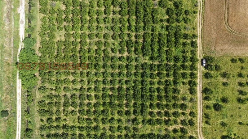 À venda  Terra região Plovdiv , Graf Ignatievo , 11 tudo bem | 31830311 - imagem [2]