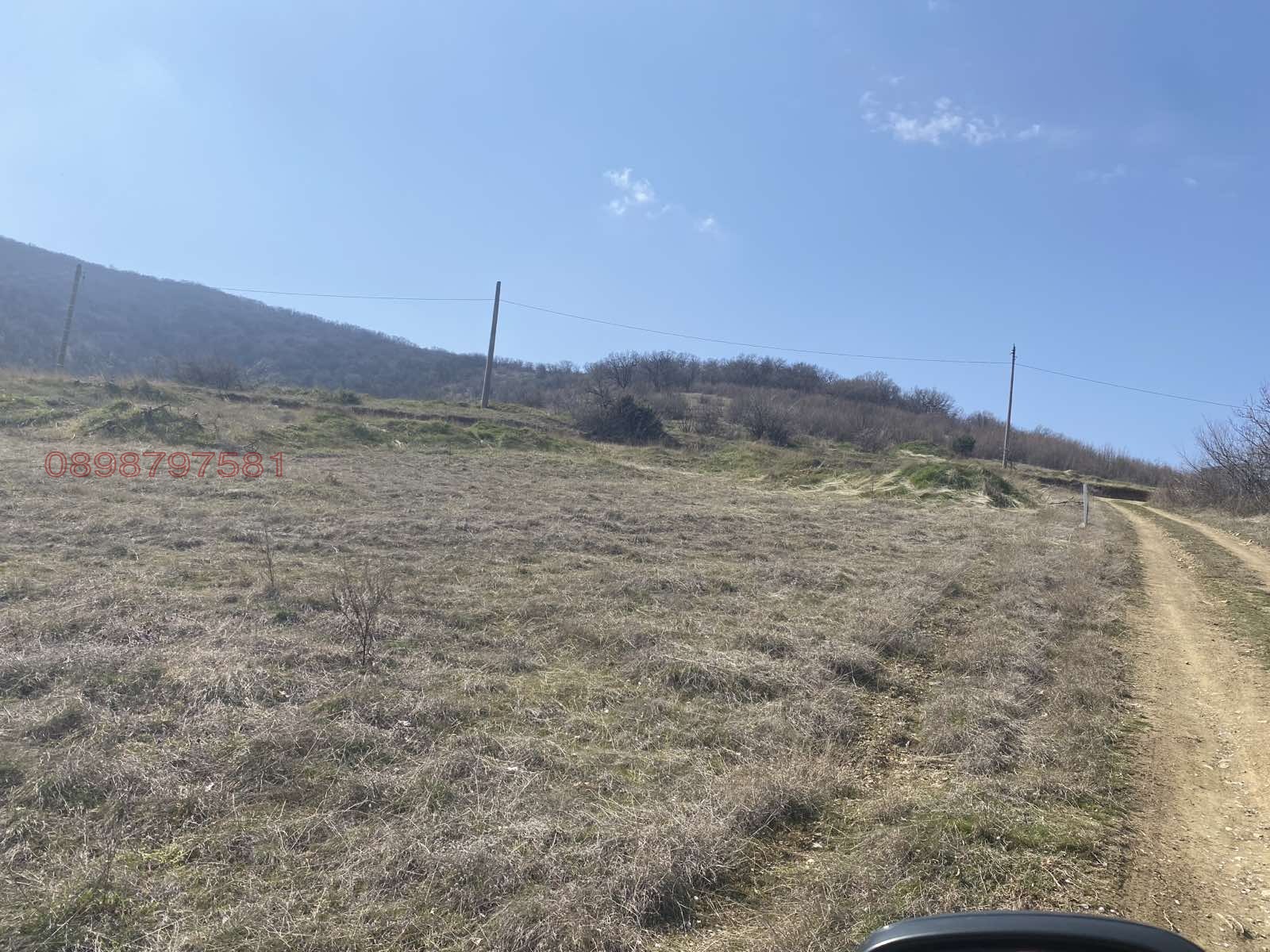 Продава ПАРЦЕЛ, с. Брестник, област Пловдив, снимка 3 - Парцели - 54115532