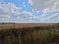 Продава ПАРЦЕЛ, с. Доганово, област София област, снимка 4