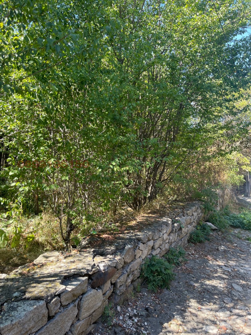 Продава ПАРЦЕЛ, гр. Копривщица, област София област, снимка 3 - Парцели - 53503781