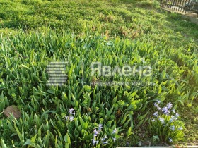 ������� ���� | Imot.bg � ����� ������ 4