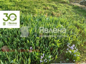 ������� ���� | Imot.bg � ����� ������ 3