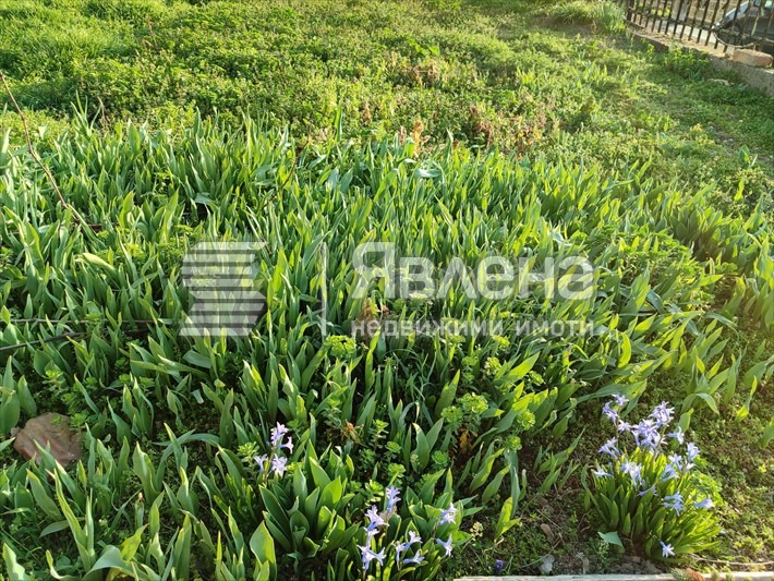 Продава КЪЩА, с. Кипра, област Варна, снимка 7 - Къщи - 52998711