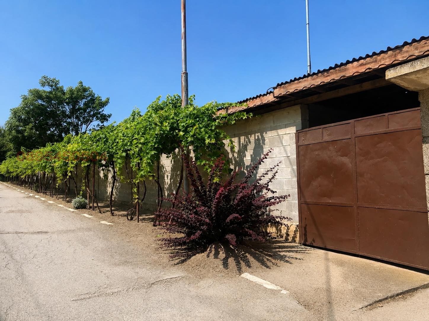 Продава  Склад област Плевен , с. Ореховица , 132 кв.м | 44005487