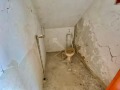 Продава КЪЩА, област Велико Търново, с. Вишовград • 45000 лв. • 32239524 — Holmes.bg