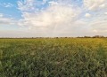 Продава ПАРЦЕЛ, област Пловдив, с. Златитрап • 280000 € • 35726955 — Holmes.bg