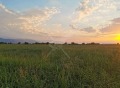 Продава ПАРЦЕЛ, област Пловдив, с. Златитрап • 280000 € • 35726955 — Holmes.bg