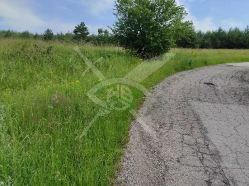 Продава ПАРЦЕЛ в град София, с. Плана - 149 кв.м / 47 900 € » 93 684.26 лв., ЕКС НВД ООД
