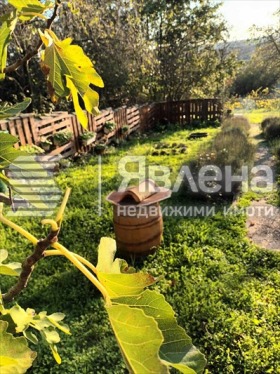 ������� ���� | Imot.bg � ����� ������ 11