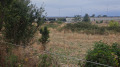 Продава ПАРЦЕЛ, гр. София, с. Чепинци, снимка 4
