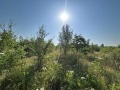 Продава ПАРЦЕЛ, град София, НПЗ Искър • 890100 € / 1740884.28 лв. • 16597250 3