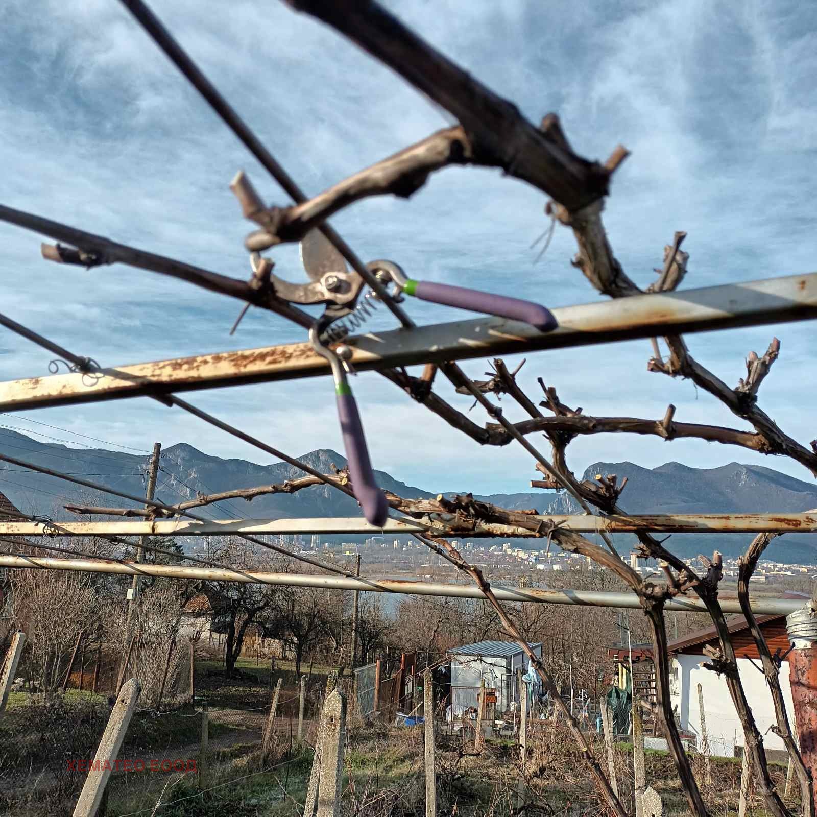 ������� ���� | Imot.bg � ����������� 7